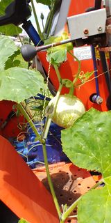 팜모닝 작목반,동호회 등 나의 모임은?·참여글 게시글 이미지