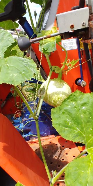 처마밑에추녀님의 작목반,동호회 등 나의 모임은? · 참여글 작성글 사진