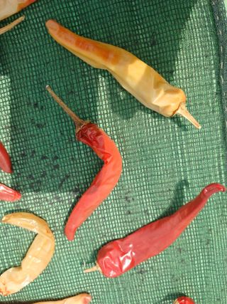 고구마5964님의 자유주제 · 사진전 작성글 사진