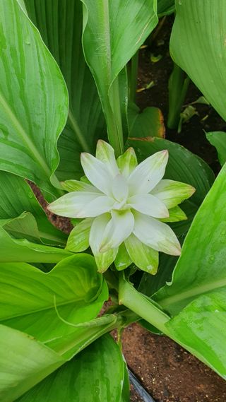 이현학님의 우리동네 · 동네수다 작성글 사진