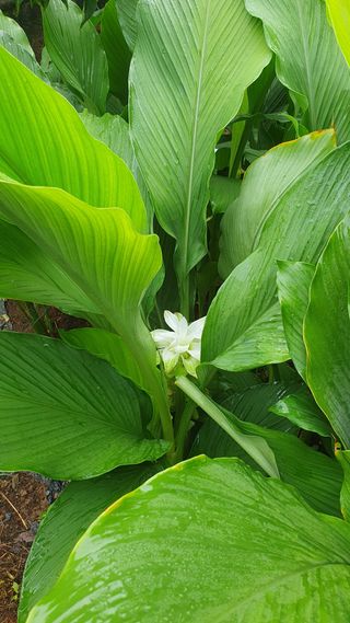 이현학님의 우리동네 · 동네수다 작성글 사진