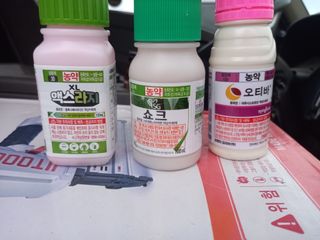 이병관님의 포도 · 병해충상담 작성글 사진