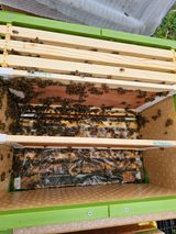 팜모닝 기타작물·자유게시판 게시글 이미지