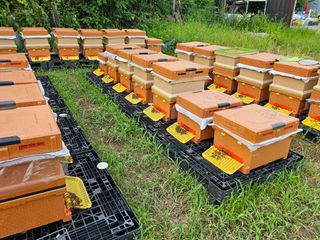 춘천바람개비님의 기타작물 · 자유게시판 작성글 사진