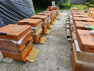 춘천바람개비님의 기타작물 · 자유게시판 작성글 사진