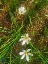 팜모닝 · 게시글 이미지