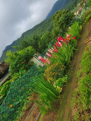 또비님의 작성글 사진