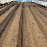 팜모닝 딸기·토양준비 게시글 이미지