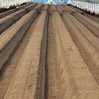 김수환님의 딸기 · 토양준비 작성글 사진