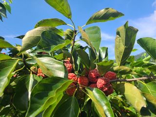 이현옥님의 자유주제 · 자유게시판 작성글 사진