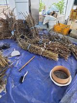 팜모닝 참깨·영농일지 게시글 이미지