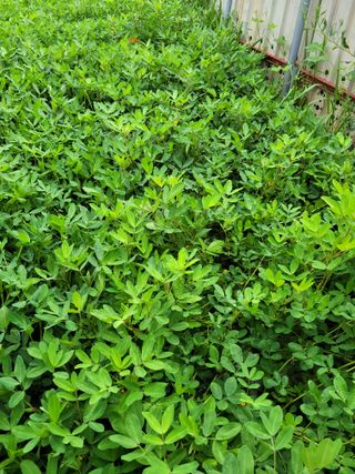 이원우님의 기타작물 · 자유게시판 작성글 사진