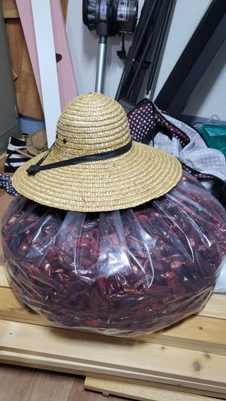 늘푸른 농장주님의 고추 · 영농일지 작성글 사진