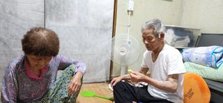 나으살던고향님의 오이 · 자유게시판 작성글 사진