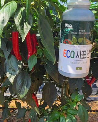 전순덕.동신유통님의 고추 · 비료•농약 작성글 사진