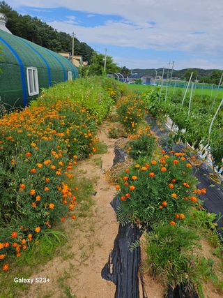 류승원님의 하우스정보 · 자유게시판 작성글 사진