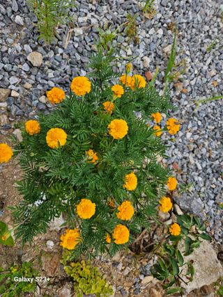 류승원님의 하우스정보 · 자유게시판 작성글 사진