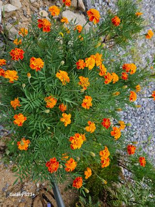 류승원님의 하우스정보 · 자유게시판 작성글 사진