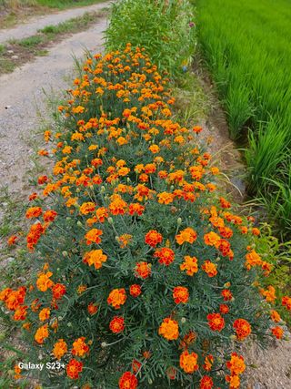 류승원님의 하우스정보 · 자유게시판 작성글 사진