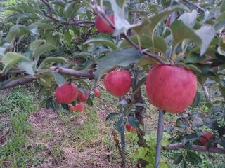 박흥구님의 자유주제 · 자유게시판 작성글 사진