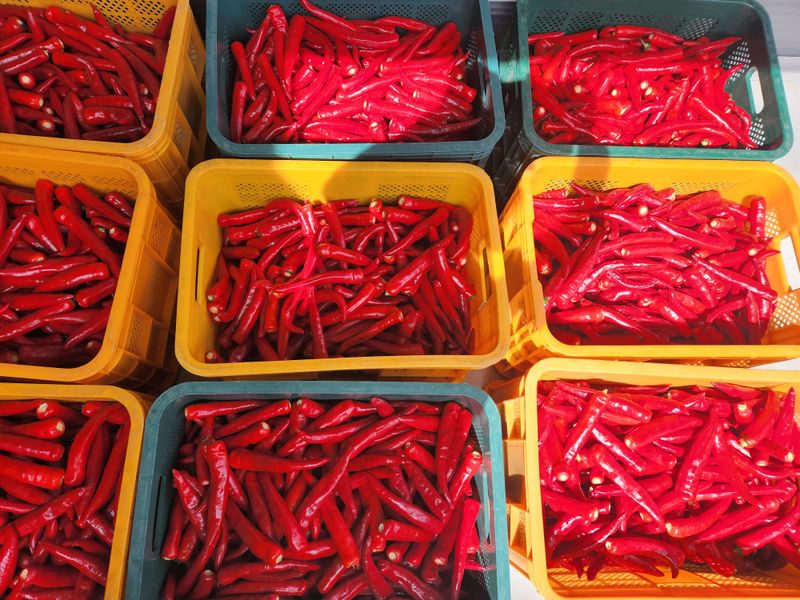 장터 상품 [맛있게 매운청송고춧가루] 썸네일