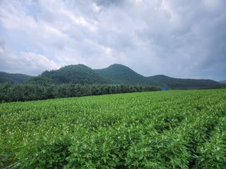 이원정님의 작성글 사진