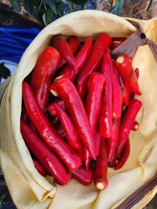 이원정님의 작성글 사진