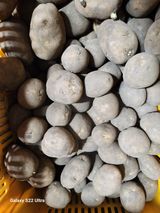 팜모닝 · 게시글 이미지