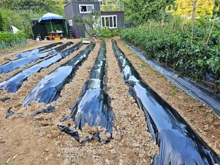 연모 자연의행복님의 자유주제 · 자유게시판 작성글 사진