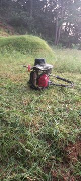 팜모닝 자유주제·자유게시판 게시글 이미지