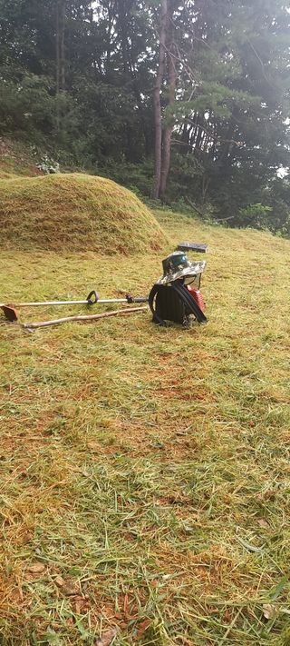 고병길님의 자유주제 · 자유게시판 작성글 사진