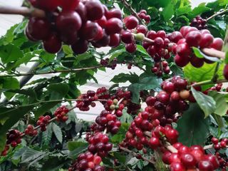 박혁원님의 자유주제 · 자유게시판 작성글 사진