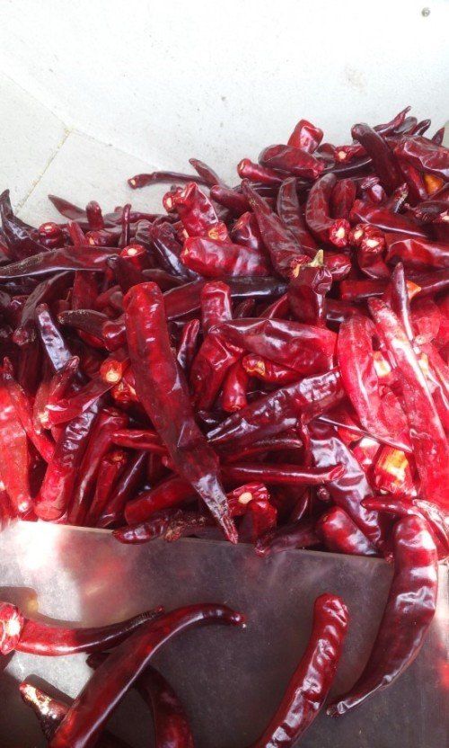 박현주님의 장터 판매 상품 [화순군 2023년 햇고추가루판매] 첨부 사진