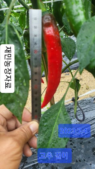 박현주님의 작성글 사진