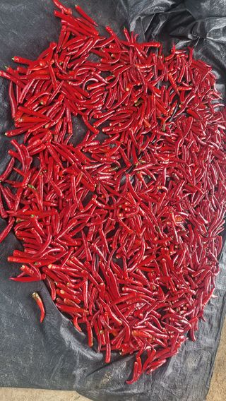 박현주님의 작성글 사진