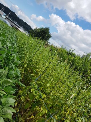 옥이네님의 작목반,동호회 등 나의 모임은? · 참여글 작성글 사진