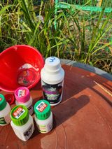 팜모닝 고추·영농일지 게시글 이미지