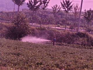 희찬(김동필)님의 콩 · 자유게시판 작성글 사진