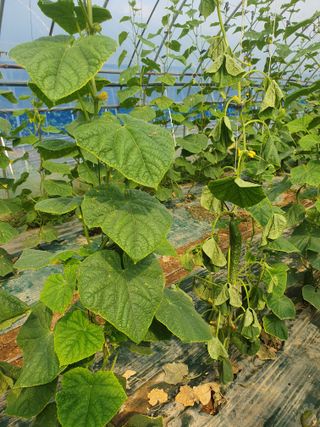 김인선님의 자유주제 · 자유게시판 작성글 사진