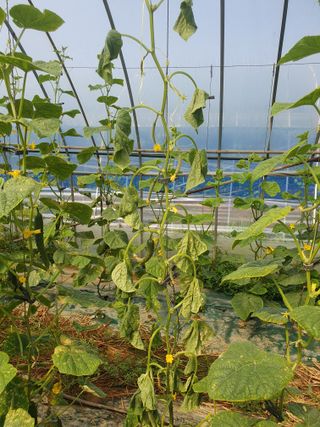 김인선님의 자유주제 · 자유게시판 작성글 사진