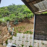 팜모닝 기타작물·자유게시판 게시글 이미지