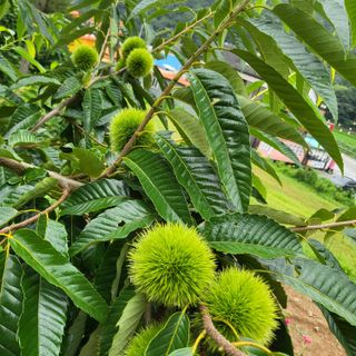 오정석님의 기타작물 · 자유게시판 작성글 사진