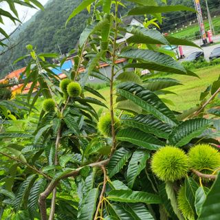 오정석님의 기타작물 · 자유게시판 작성글 사진