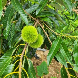 오정석님의 기타작물 · 자유게시판 작성글 사진
