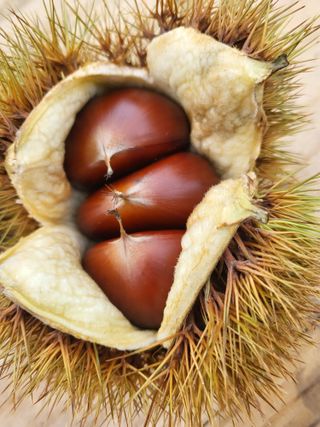 오정석님의 기타작물 · 자유게시판 작성글 사진