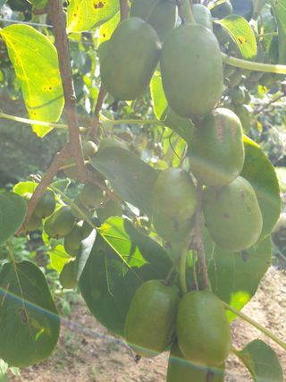 까치까치3161님의 장터이야기 · 자유게시판 작성글 사진