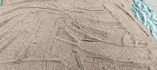 정진해님의 참깨 · 자유게시판 작성글 사진