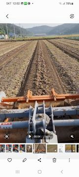 박민규님의 마늘·수확 작성글 사진