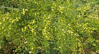 이정운님의 기타작물 · 자유게시판 작성글 사진