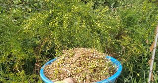 이정운님의 기타작물 · 자유게시판 작성글 사진